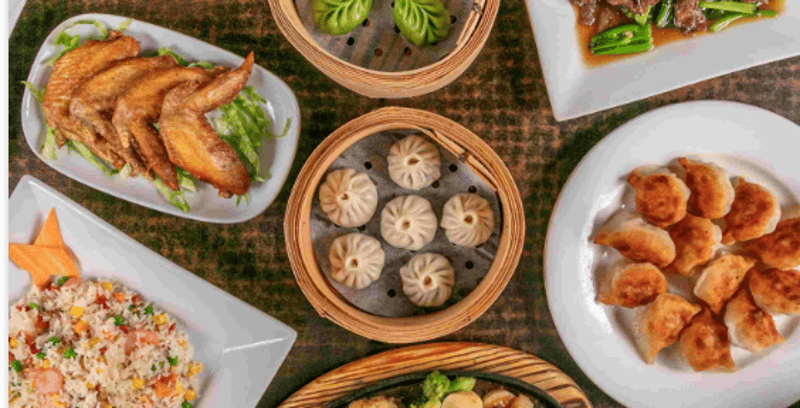 Dumpling Workshop cover
