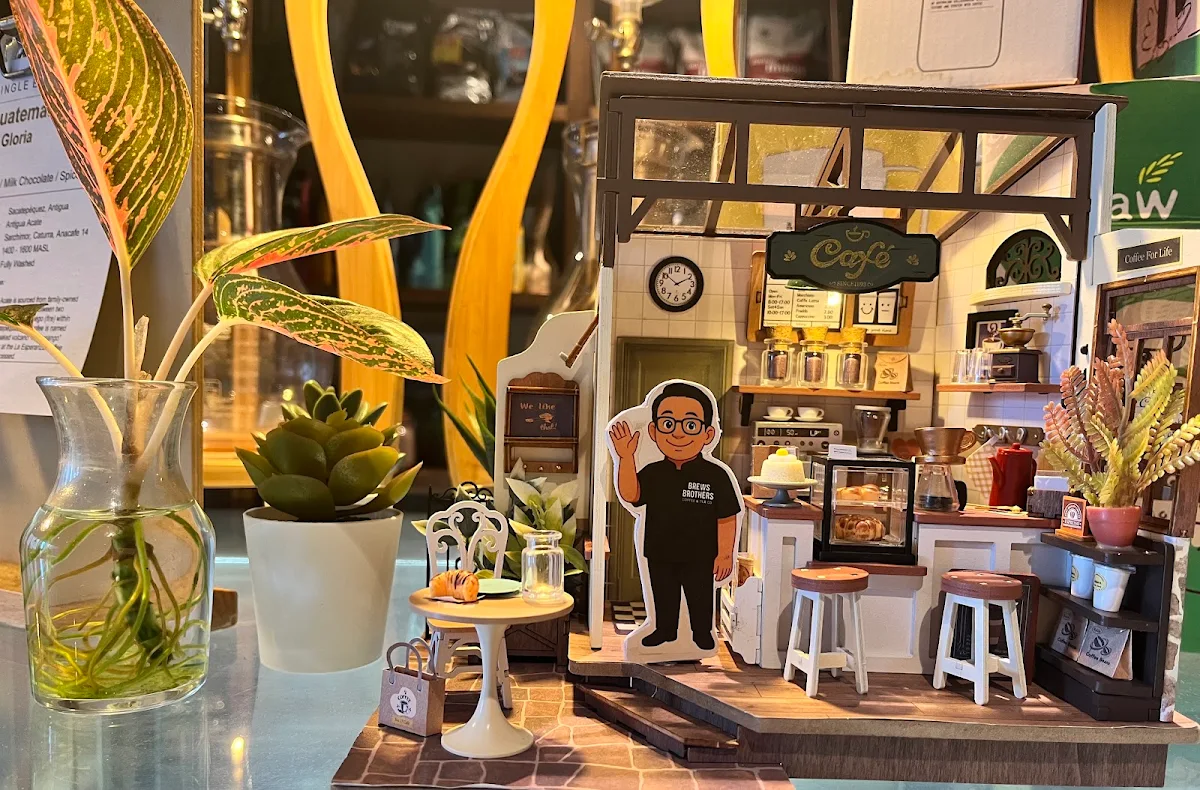 Vibe, Brews Brothers Coffee & Tea Co.