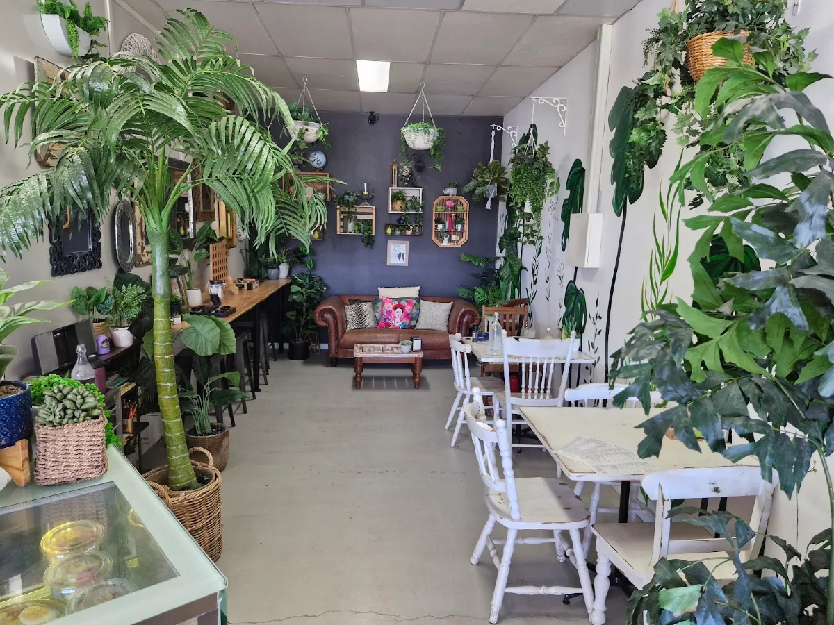 Vibe, Dreamers Coffee Shop