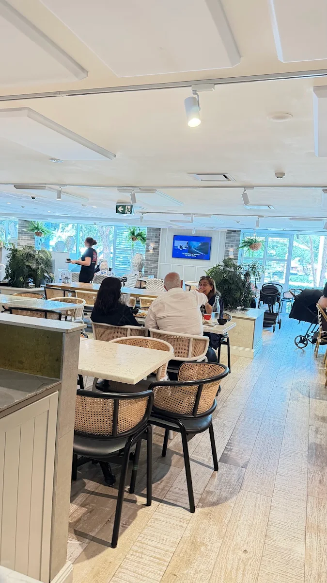 Vibe, The Kitchen by Mike's Grill