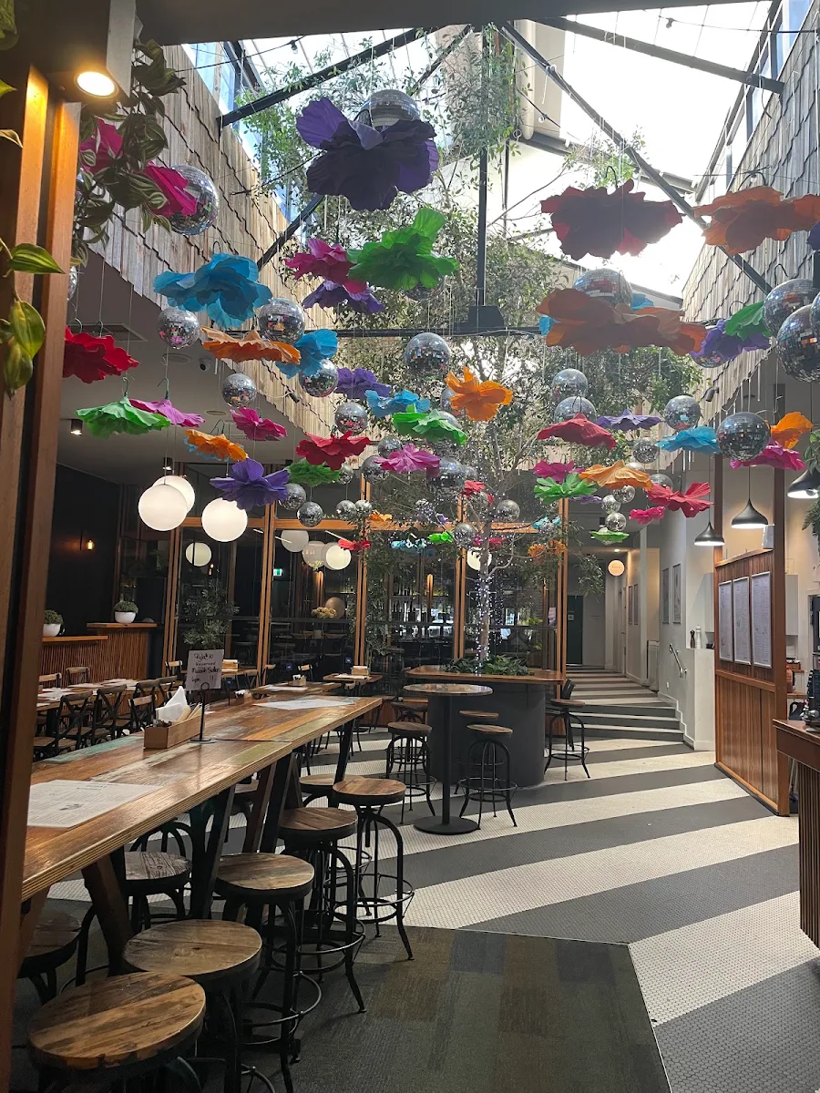 Vibe, Public House