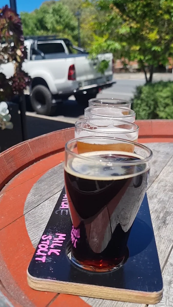 Food & drink, Shifty Lizard Brewing Co.