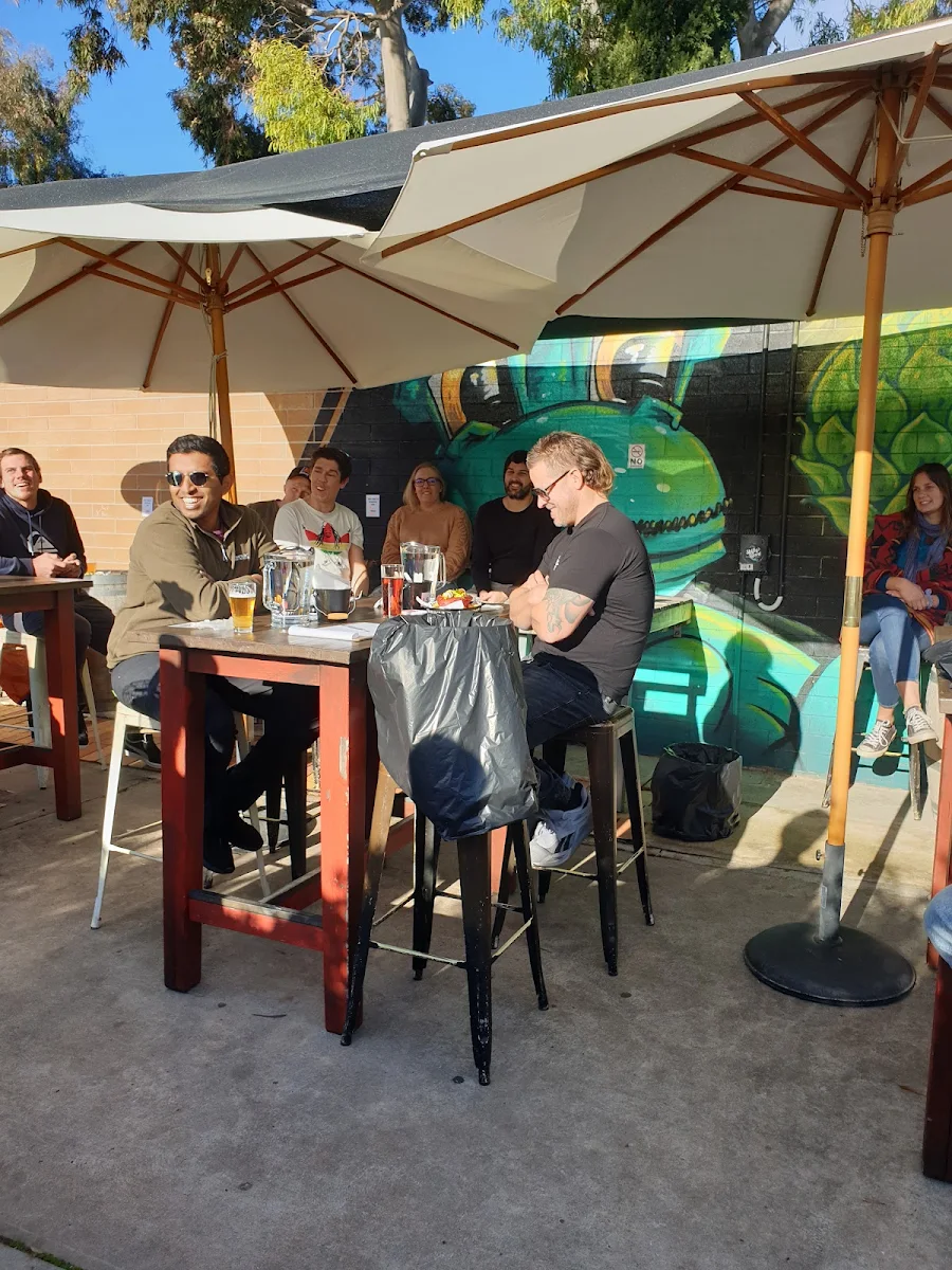 Vibe, Shifty Lizard Brewing Co.
