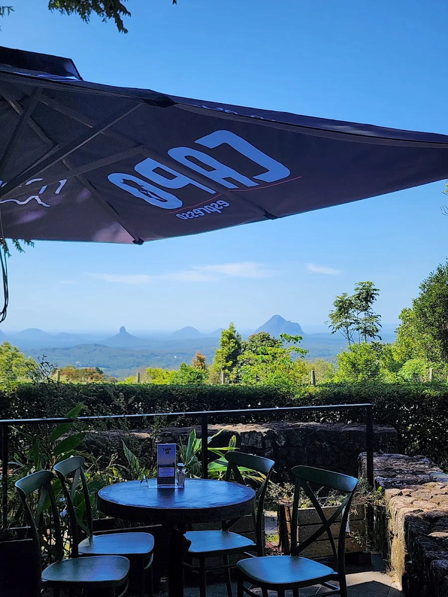Vibe, Mountain View Café