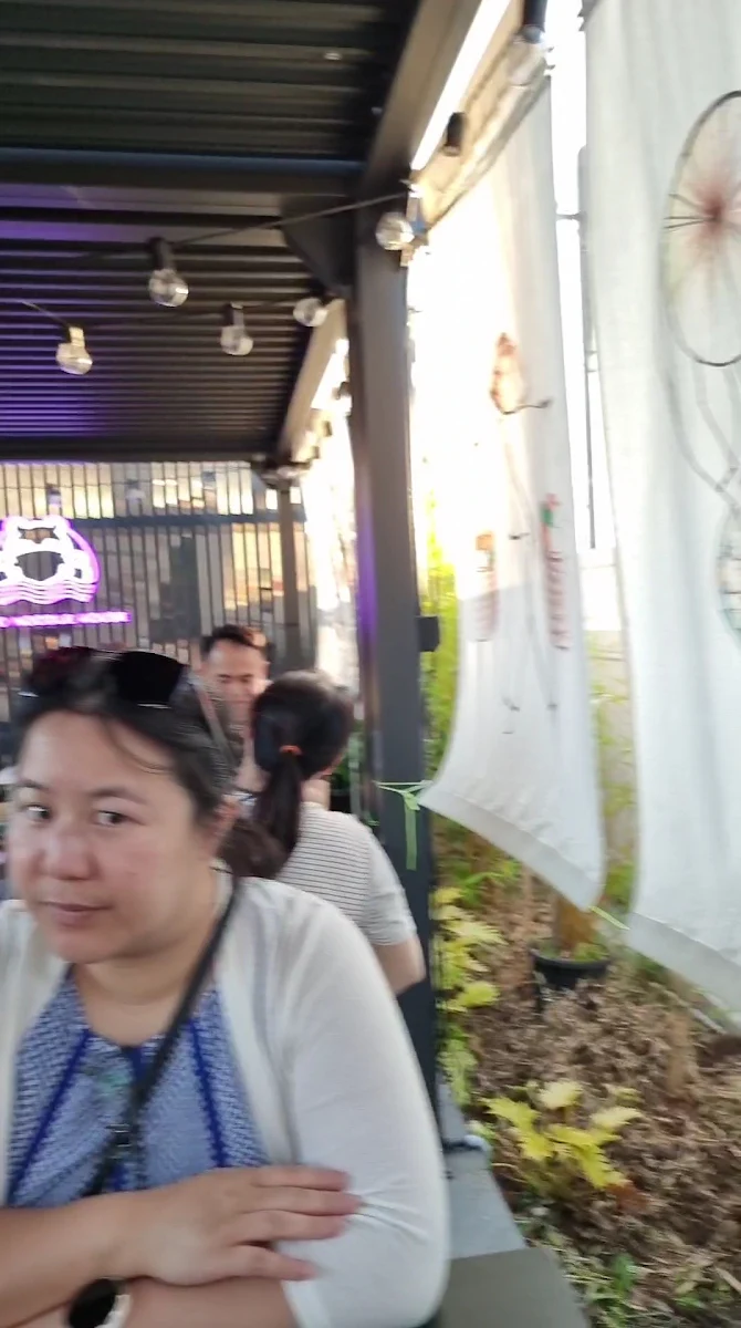Vibe, Hippo Noodle House