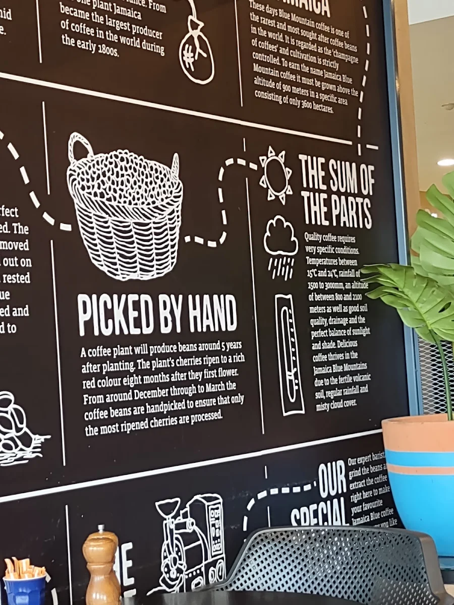 Menu, Jamaica Blue Willetton Southlands