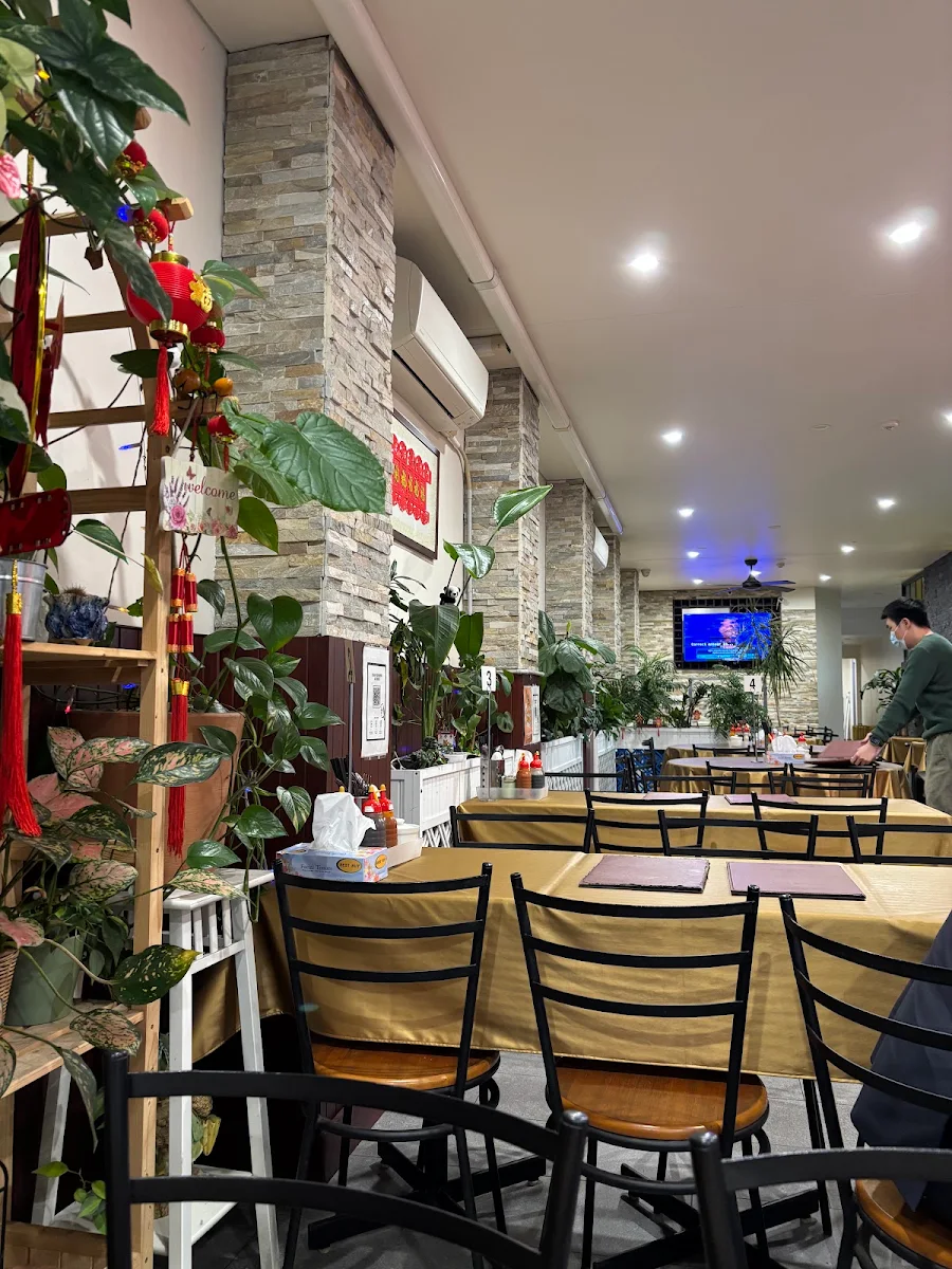 Vibe, Noodle Junction