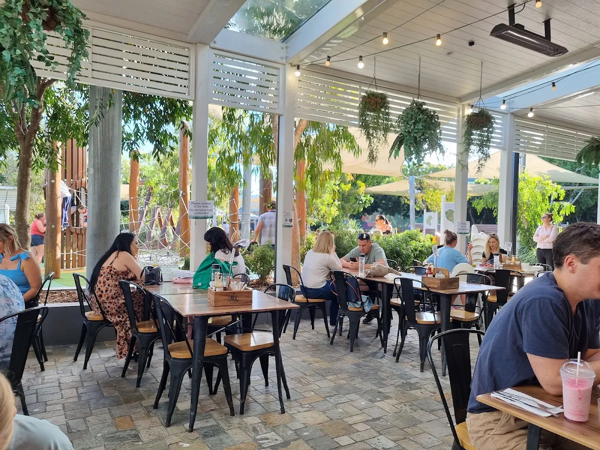 Vibe, Cafe 63
