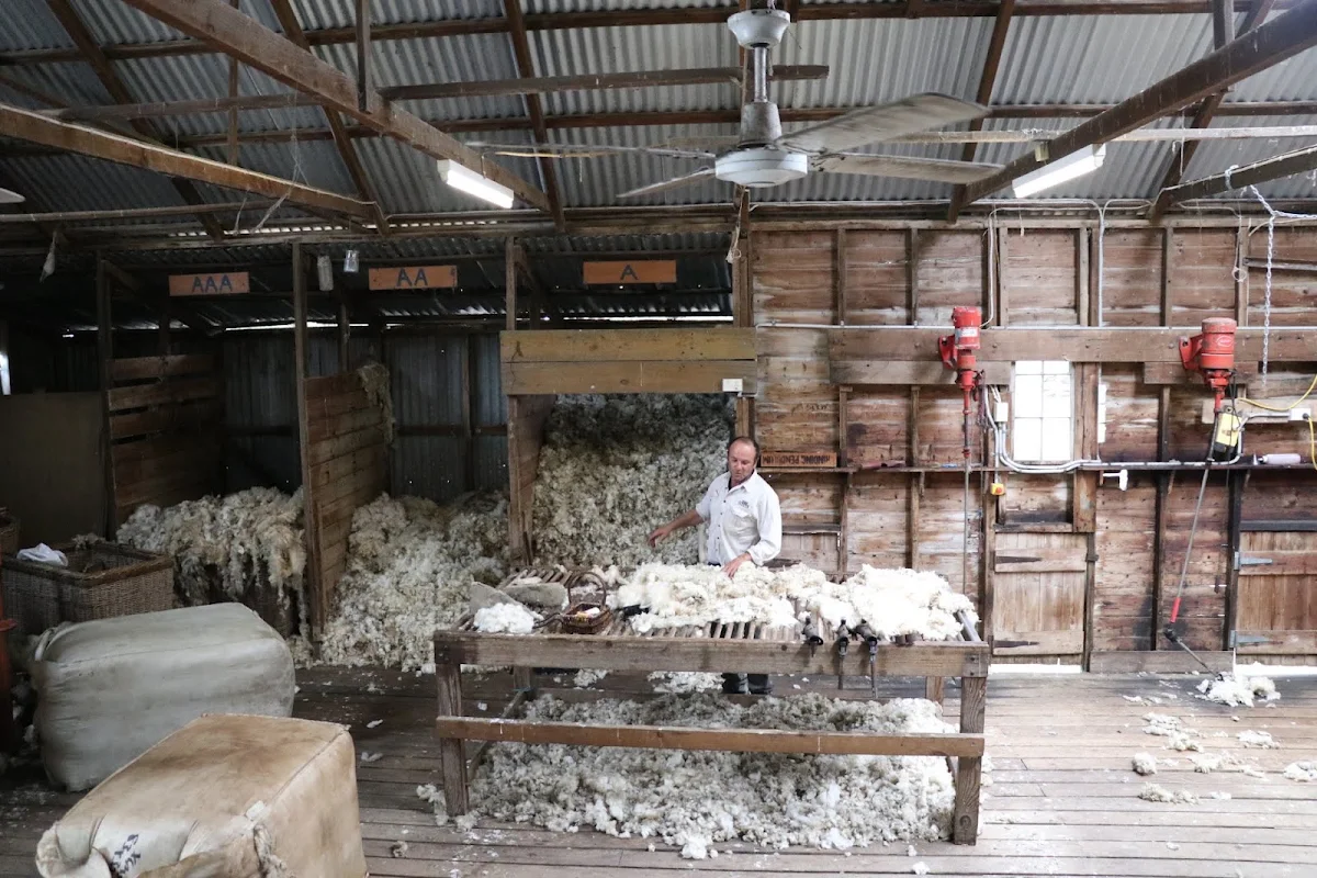 Vibe, Warrook Farm (Historic Homestead)