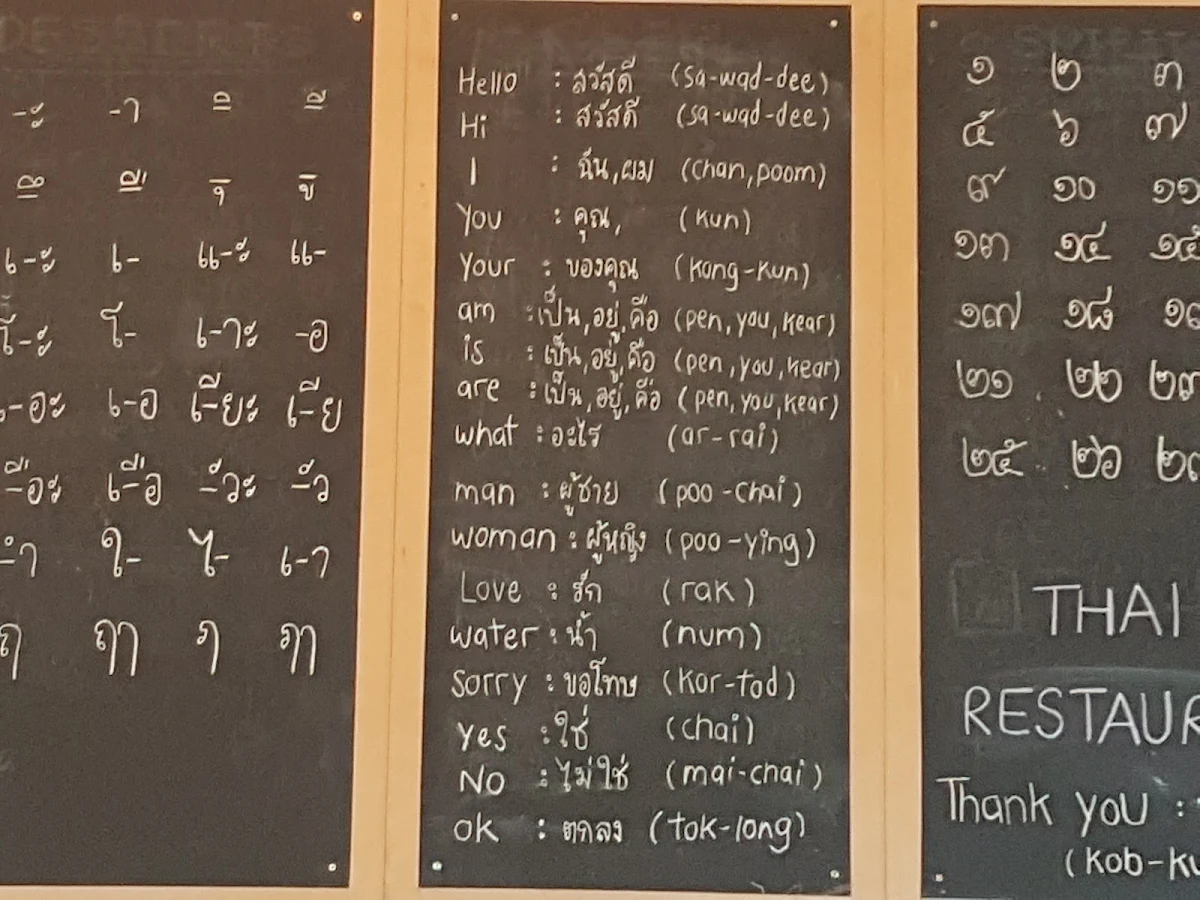 Menu, THAI 29 RESTAURANT