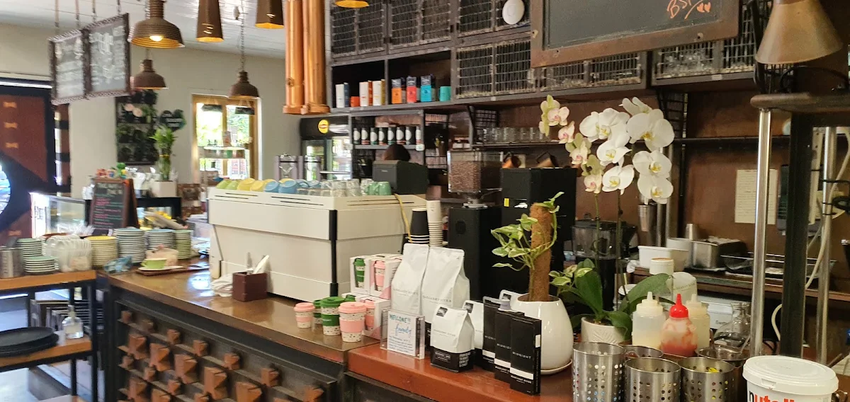 Vibe, Blacksmith Highgate