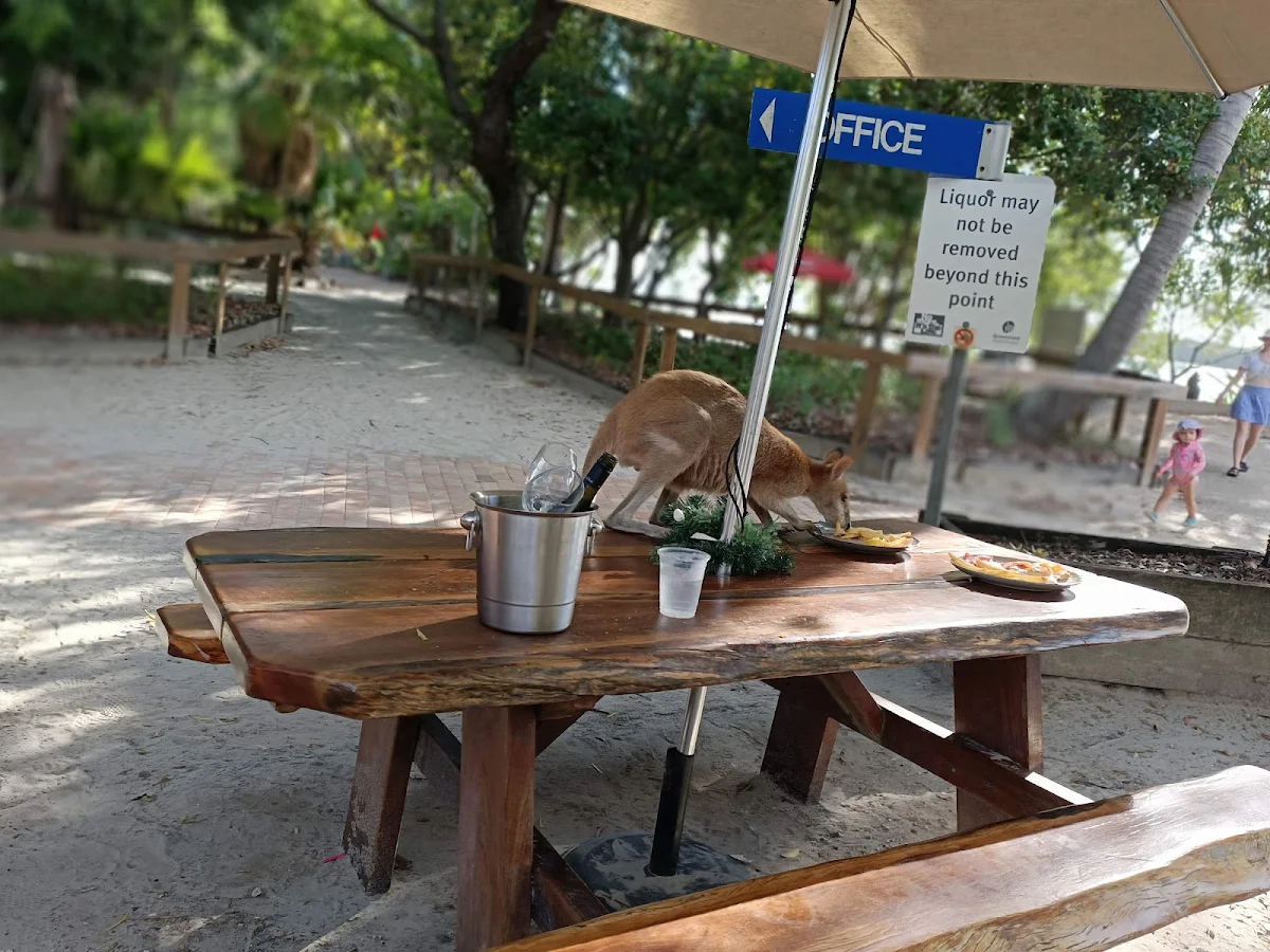 Vibe, Tipplers cafe