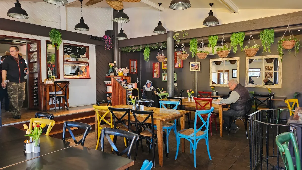 Vibe, Tulip's Cafe
