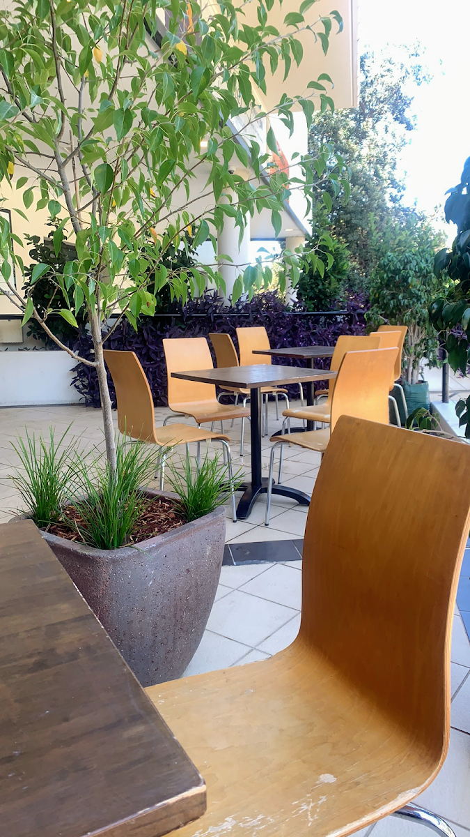 Vibe, Livoti's Italian restaurant