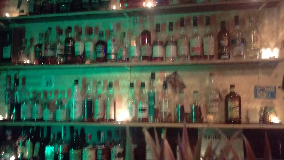 Vibe, Jungle Tiki Bar, West End, Brisbane