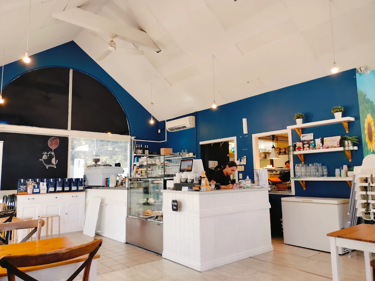 Vibe, Piggy Back Cafe