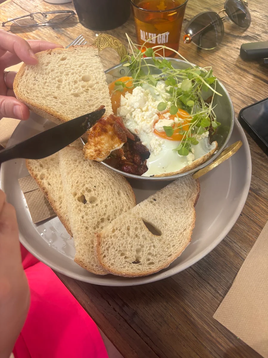 Food & drink, Alley Cat Coolum Beach