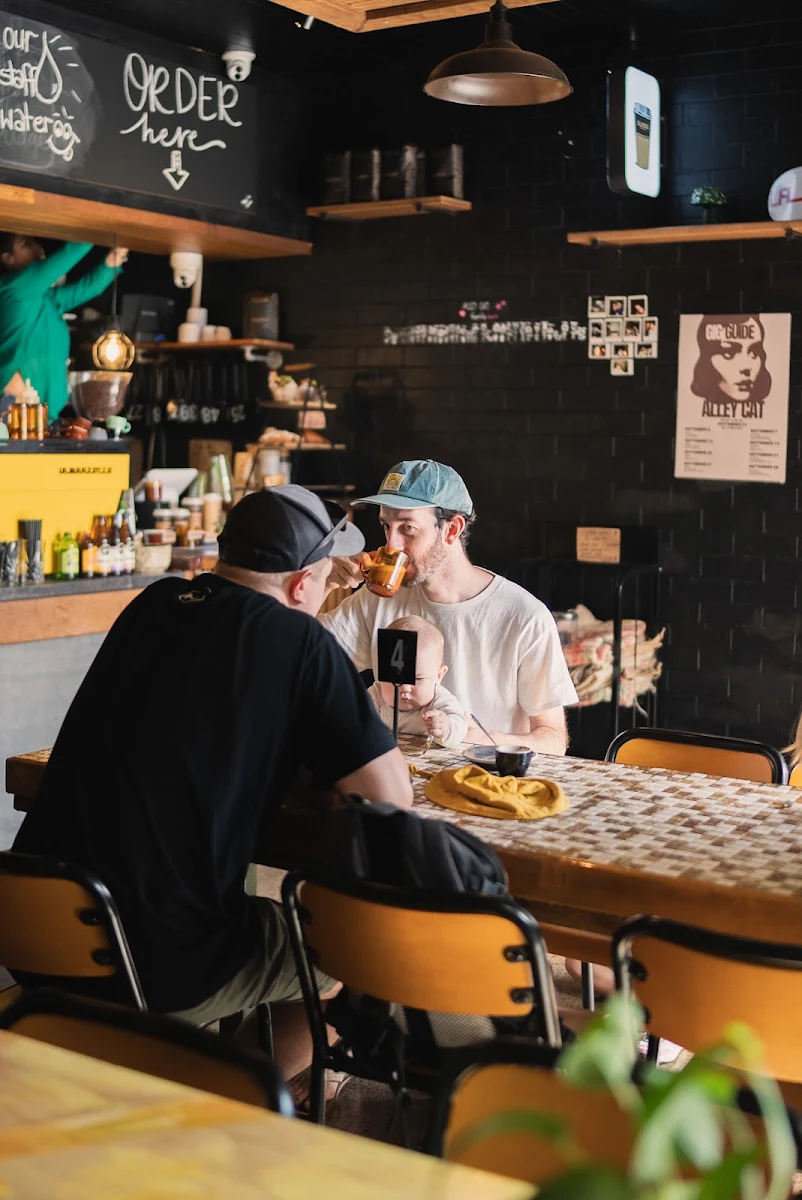 Vibe, Alley Cat Coolum Beach