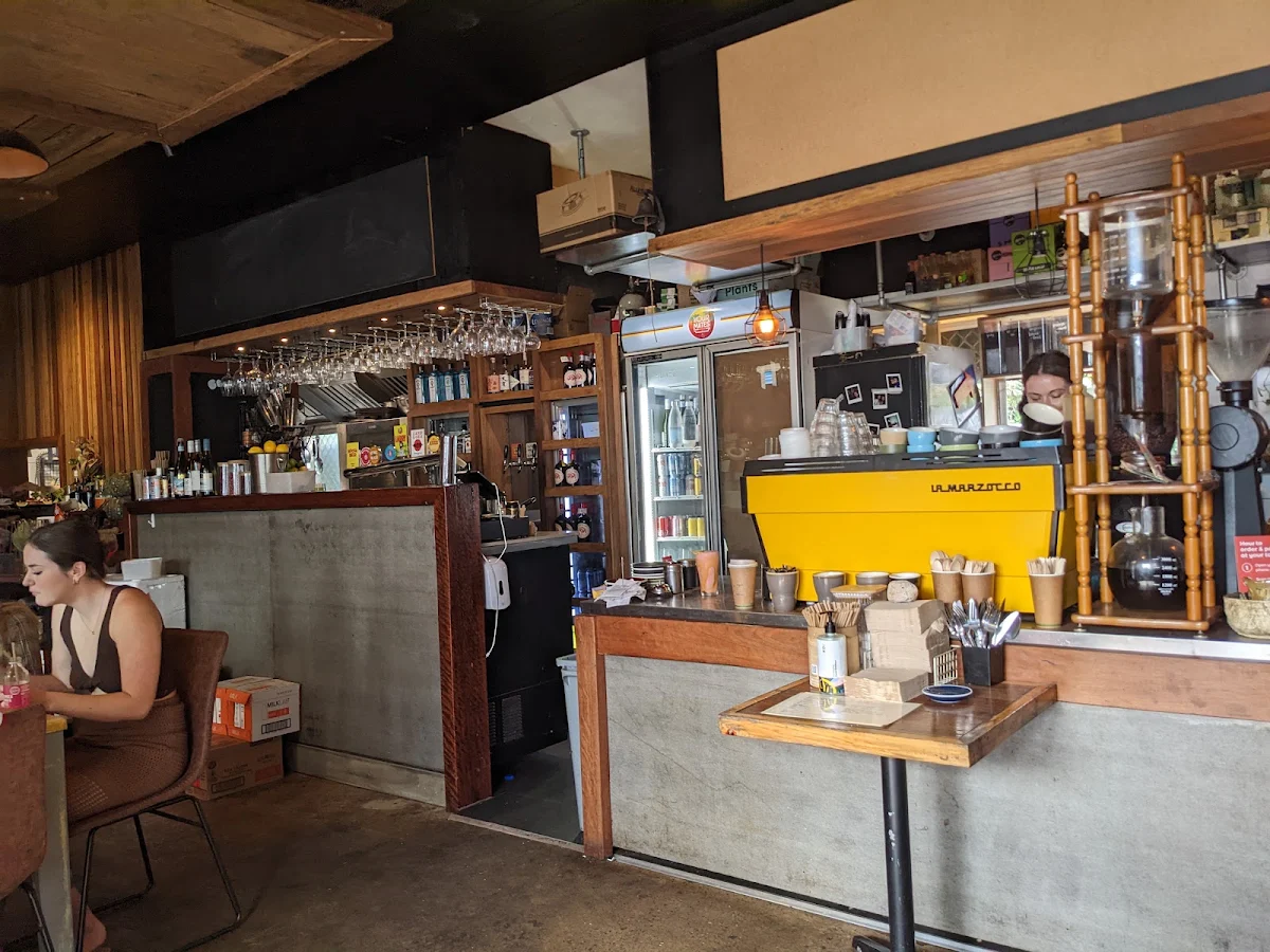 Vibe, Alley Cat Coolum Beach