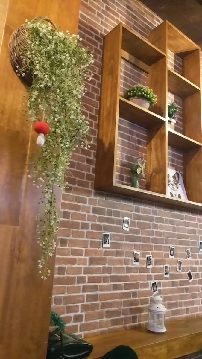 Vibe, you & m Tea Shop