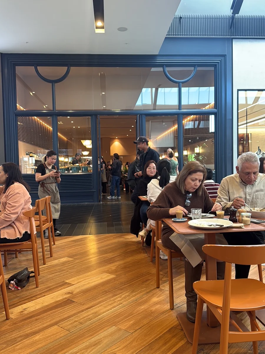 Vibe, Rustica Highpoint