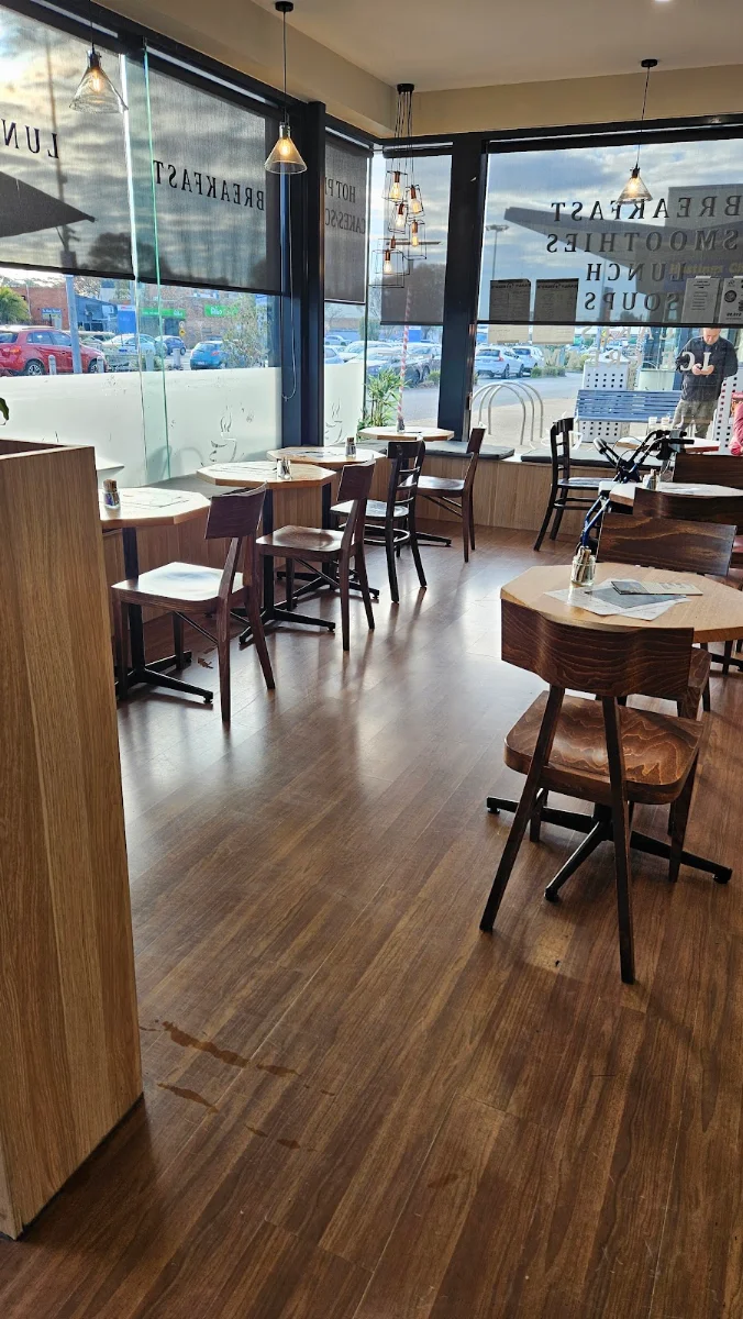 Vibe, Early birds cafe hastings