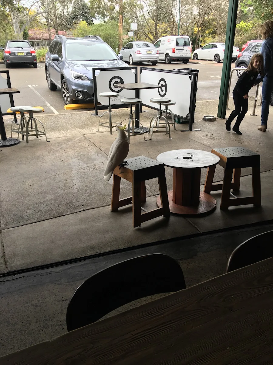 Vibe, Vertical Espresso
