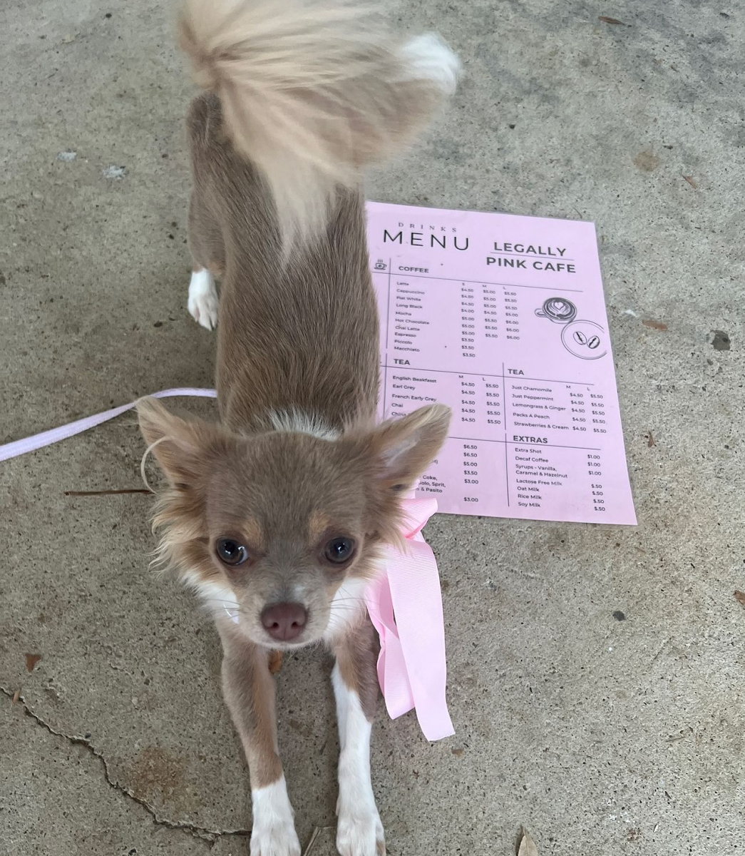 Menu, Legally Pink Cafe