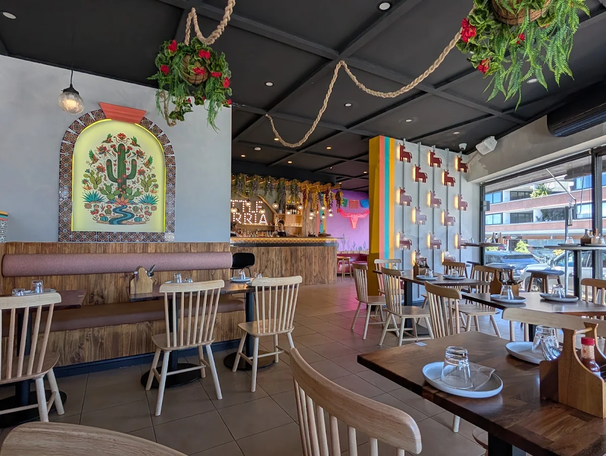 Vibe, Little Birria Gladesville