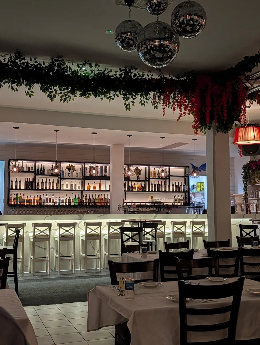 Vibe, Opa Taverna and Bar