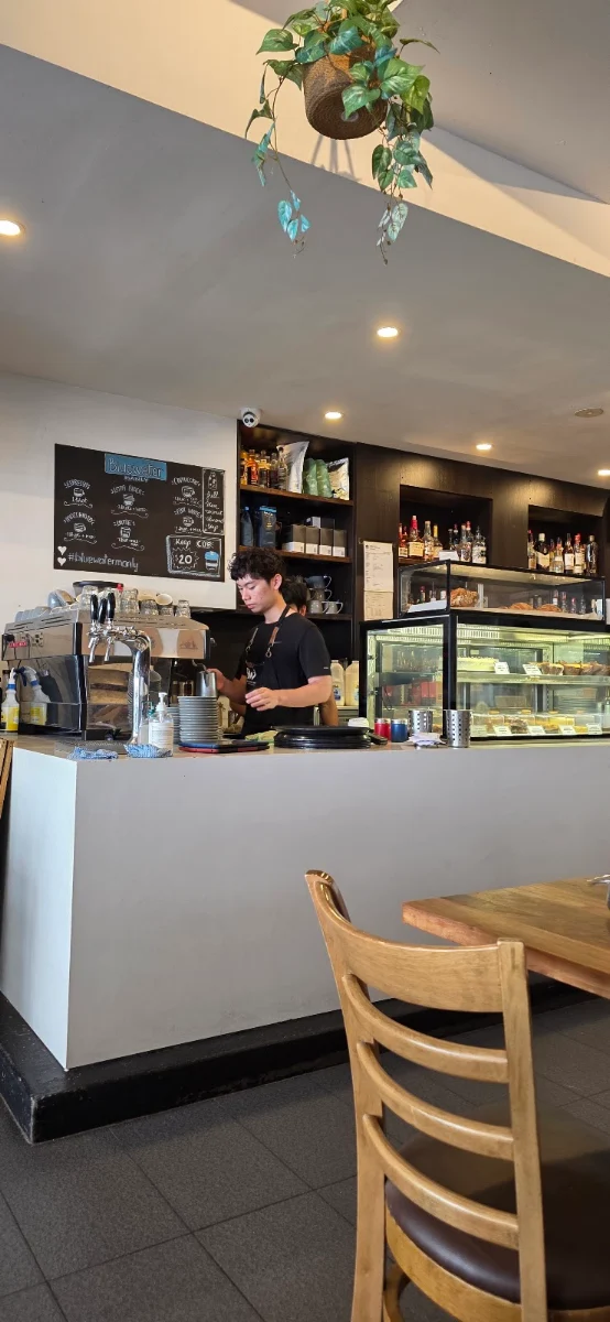 Vibe, Bluewater Cafe