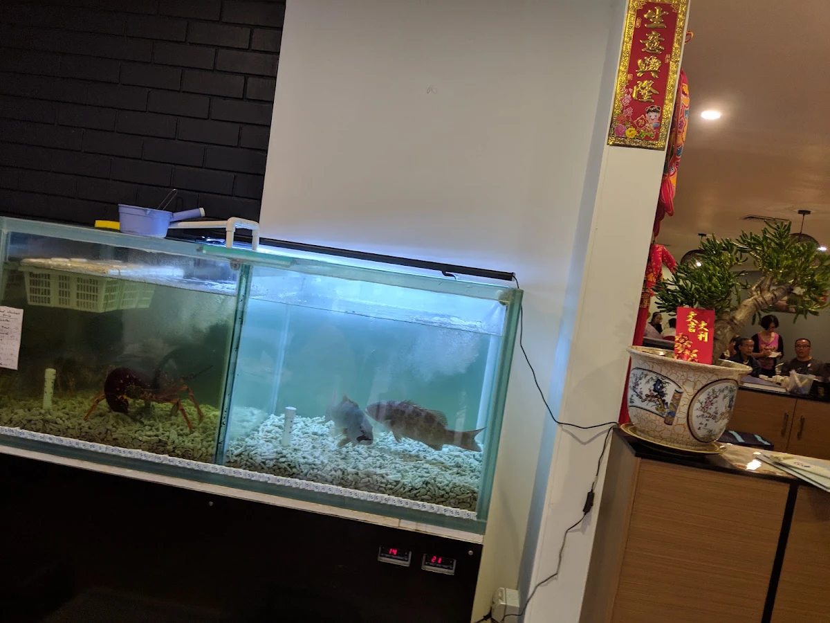 Vibe, Blue Ocean Restaurant Revesby