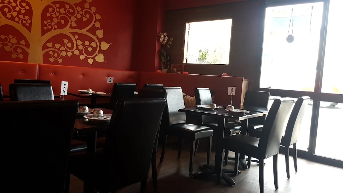 Vibe, Yummy Thai at Morisset