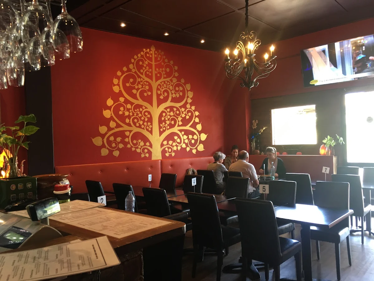 Vibe, Yummy Thai at Morisset