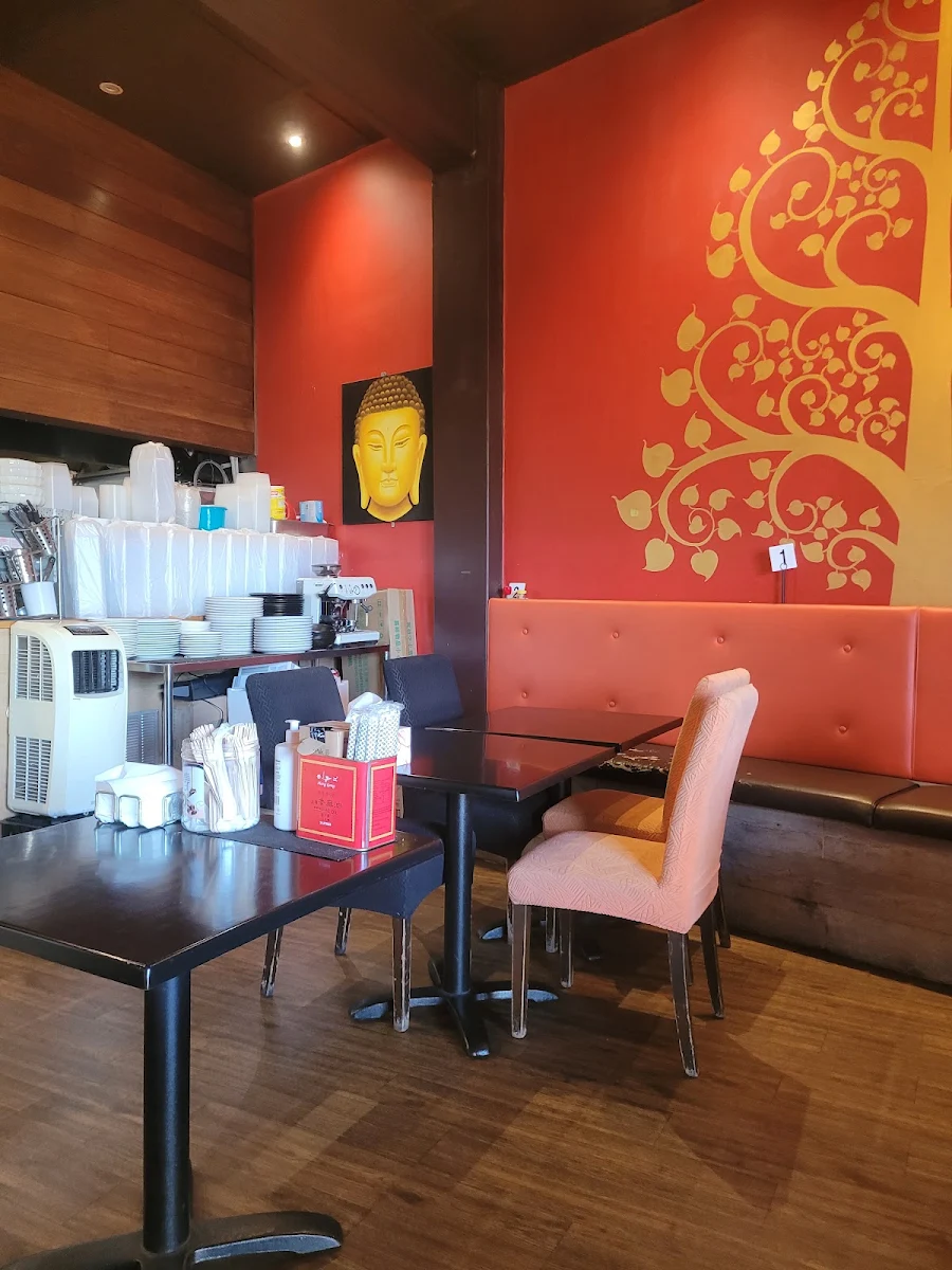 Vibe, Yummy Thai at Morisset