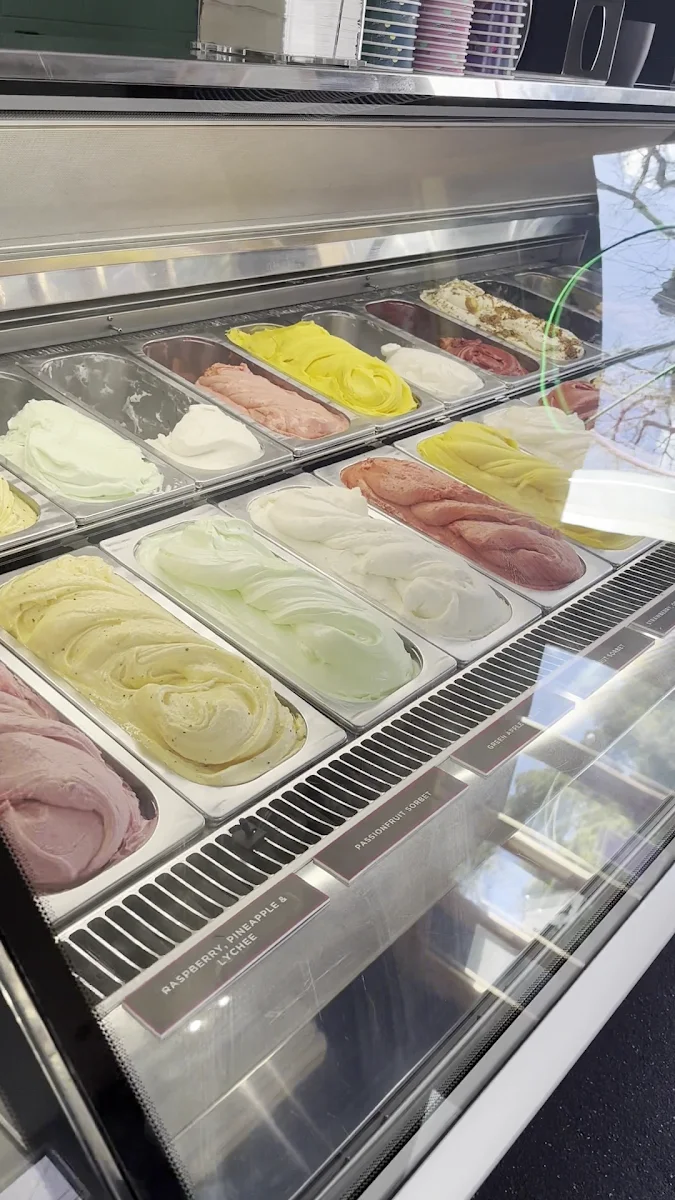 Vibe, Augustus Gelatery - Upper Ferntree Gully