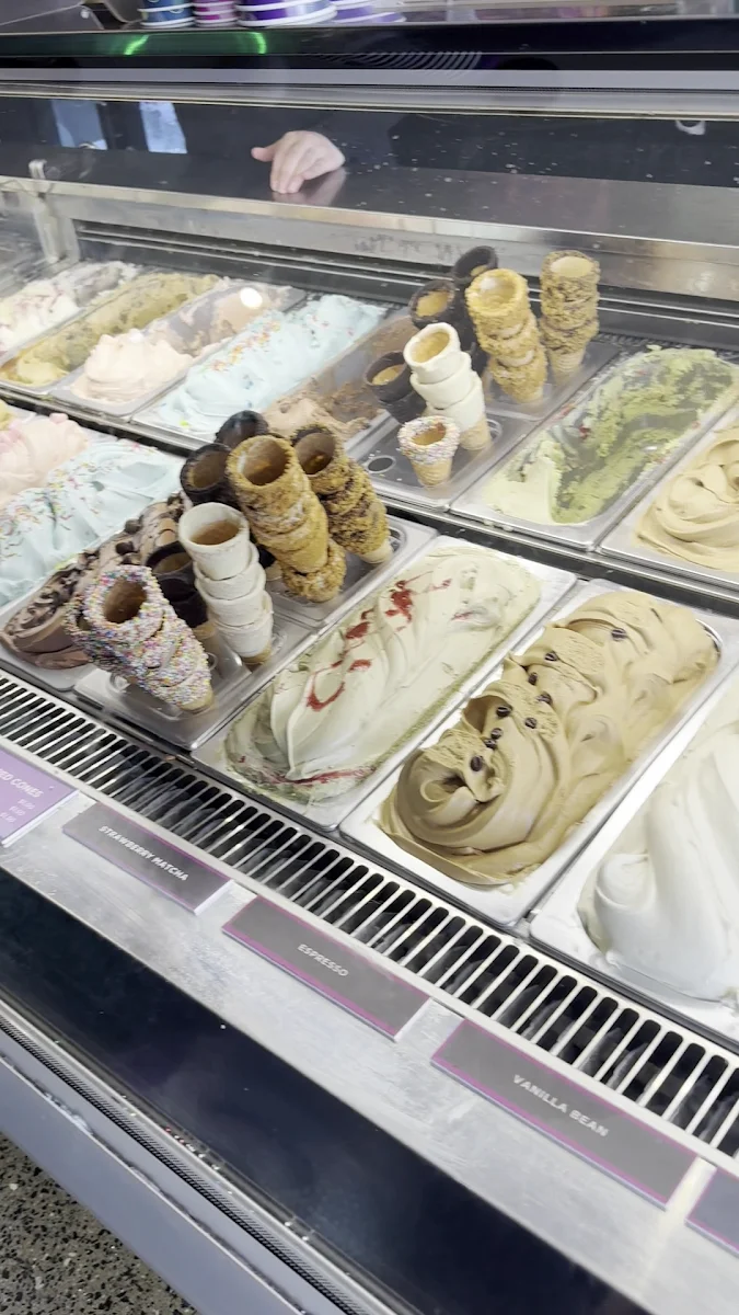 Vibe, Augustus Gelatery - Pascoe Vale