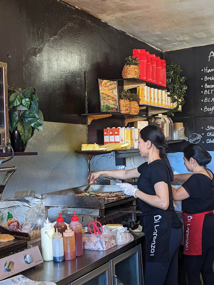 Vibe, Lunch Box Lilyfield