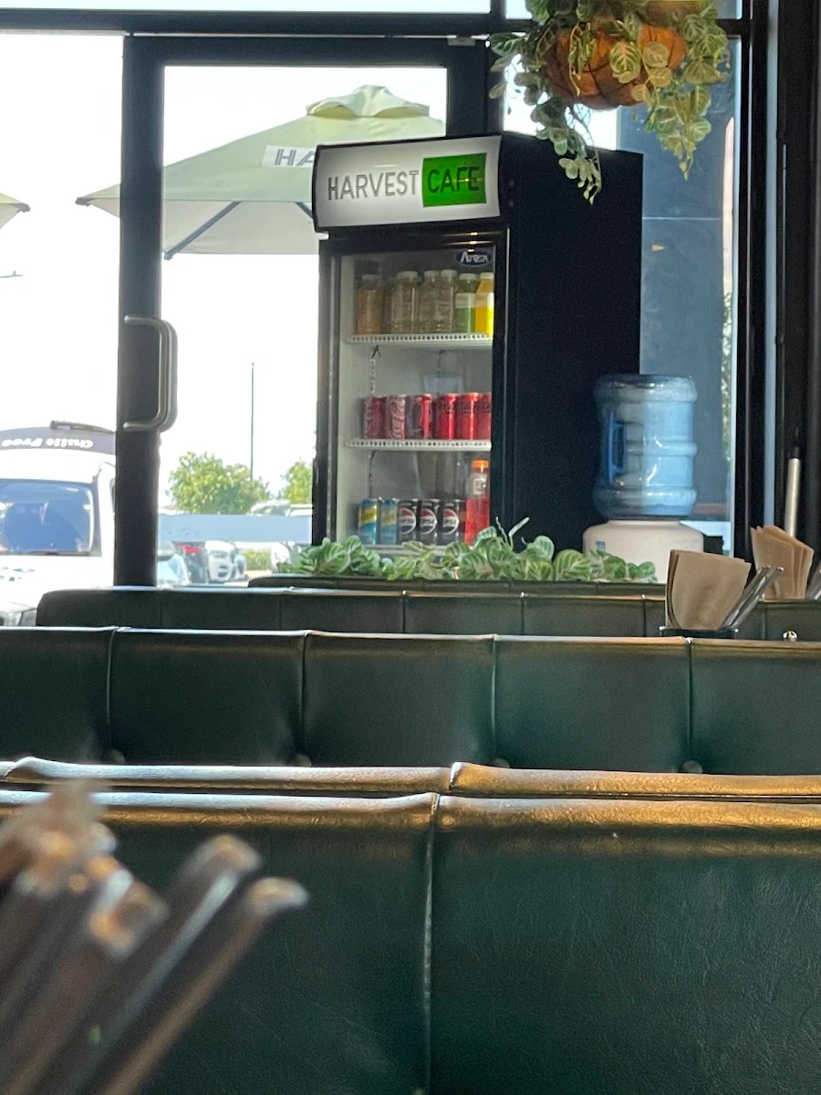 Vibe, Harvest Cafe