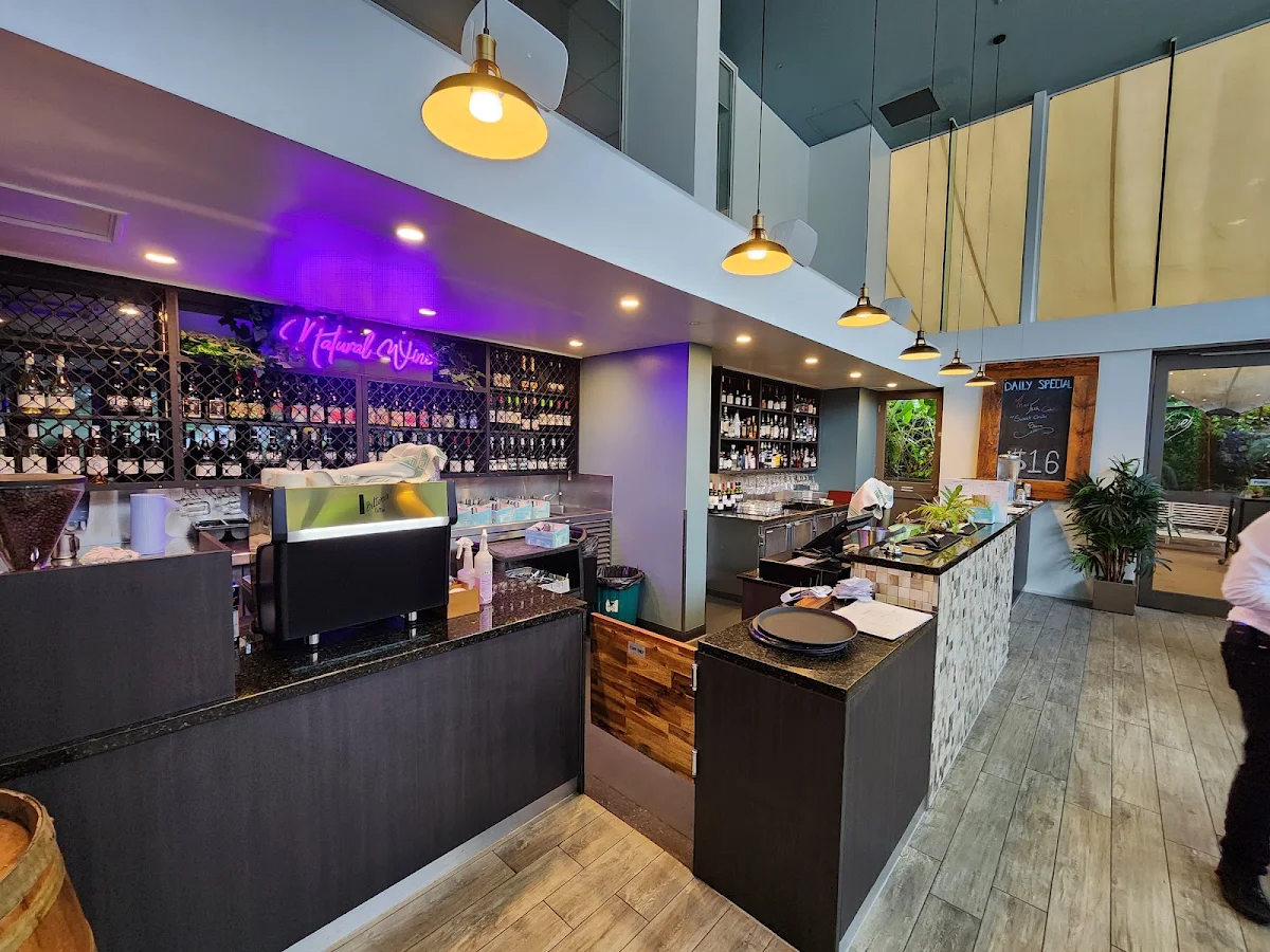 Vibe, Harbourside Bar & Kitchen