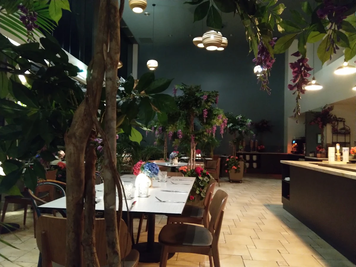 Vibe, Harbourside Bar & Kitchen