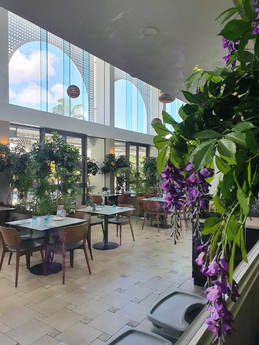 Vibe, Harbourside Bar & Kitchen