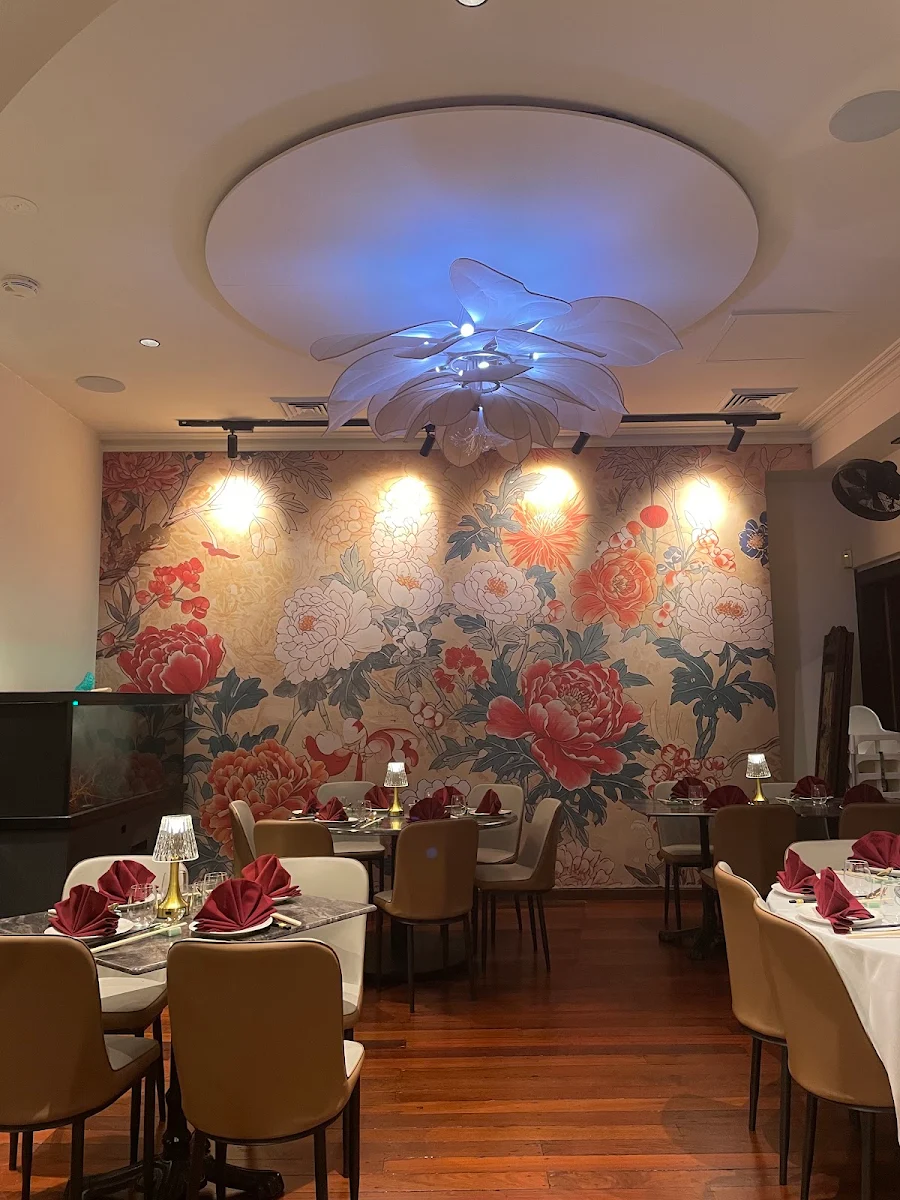 Vibe, The Blossom Chinese Restaurant