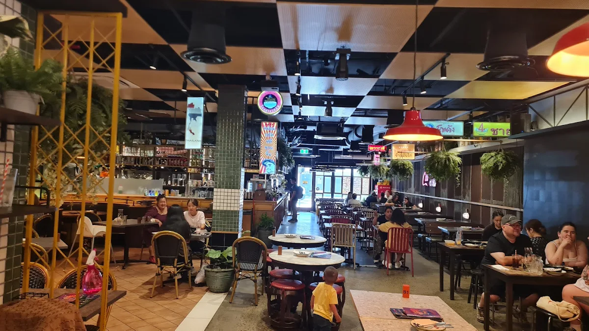 Vibe, Pochana Brisbane