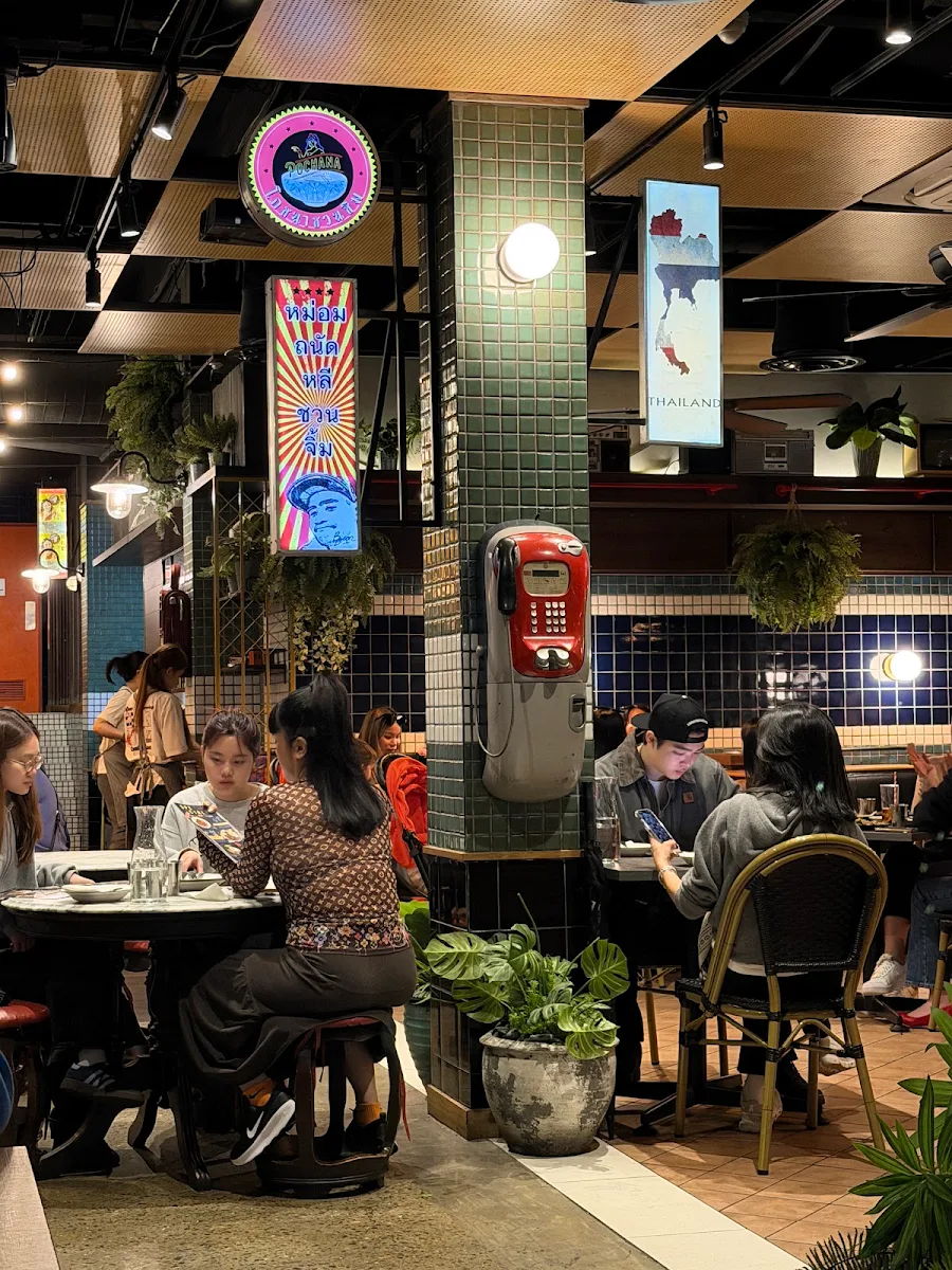 Vibe, Pochana Brisbane