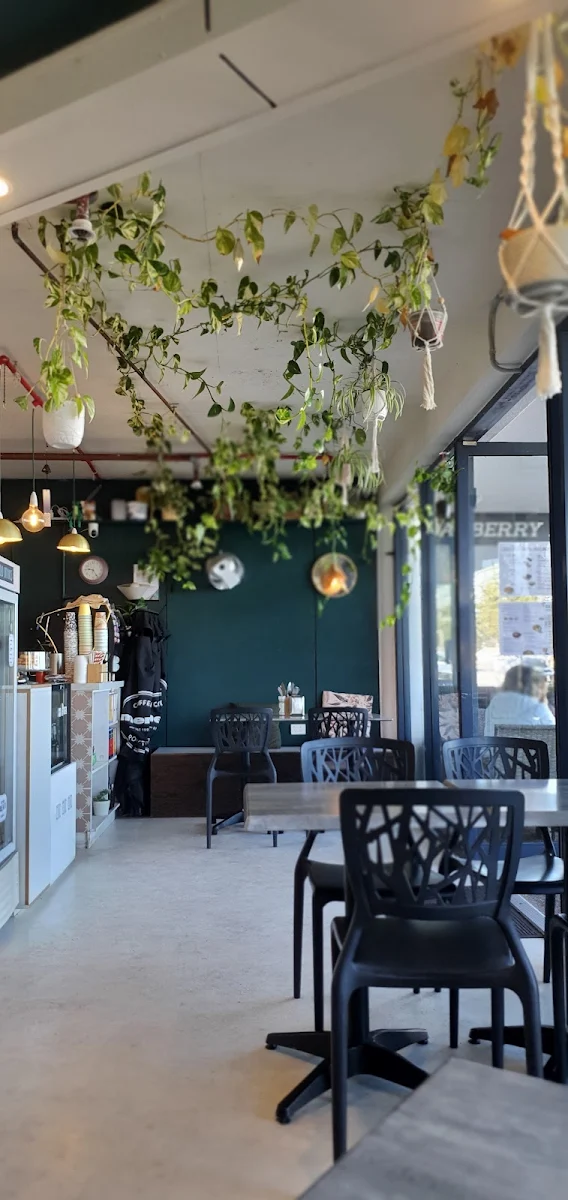 Vibe, The Frog's Kitchen