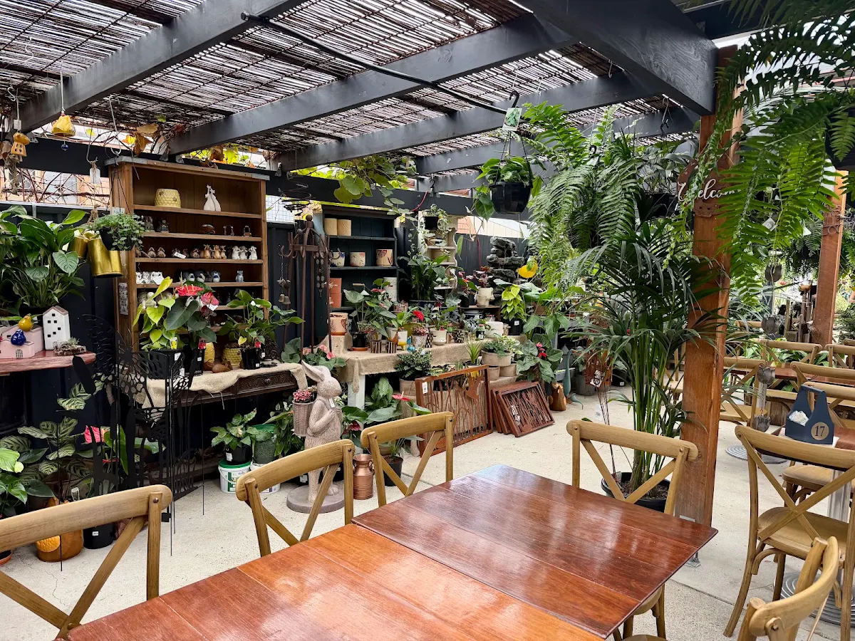 Vibe, Cafe Phillies on Beerburrum