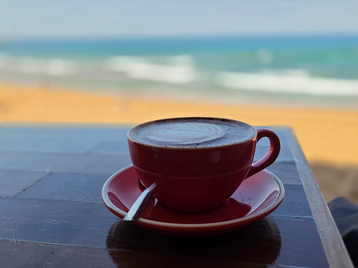 Food & drink, Lovat Cafe Avalon Beach Front