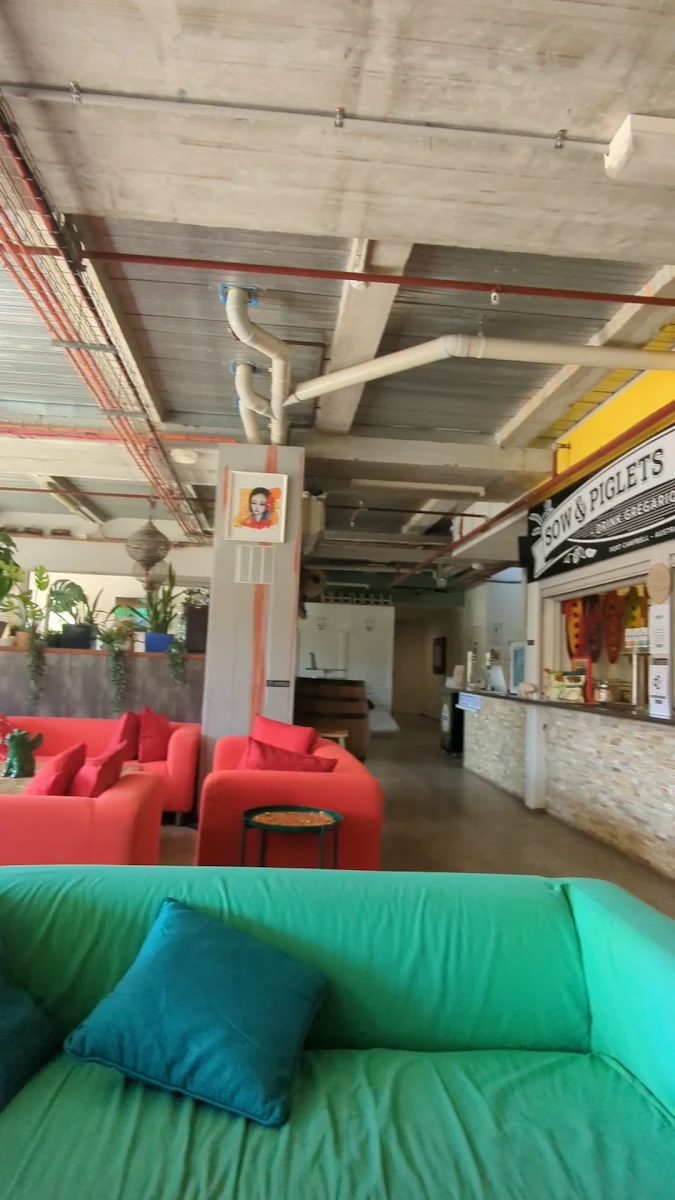 Vibe, Sow And Piglets Brewery