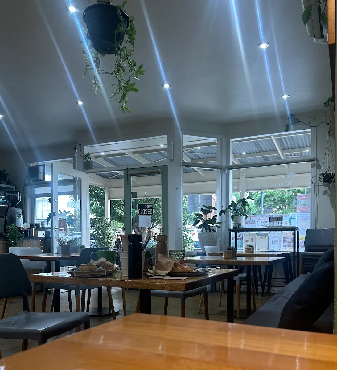 Vibe, Willow Tree Cafe